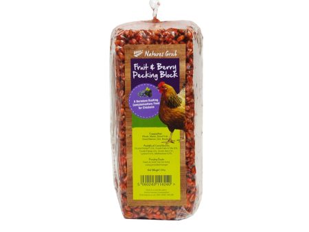 Nature s Grub Fruit & Berry Pecking Block - 280 Gm Cheap