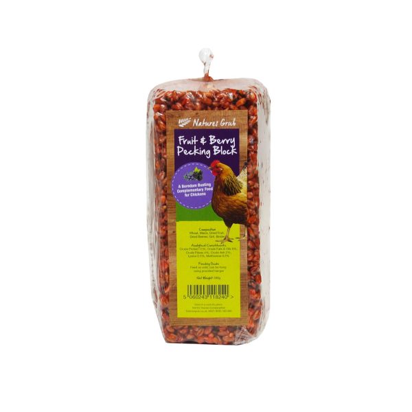 Nature s Grub Fruit & Berry Pecking Block - 280 Gm Cheap