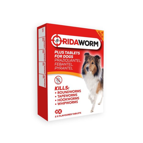 Chanelle RidaWorm Dog Tablets - 2 Pack Fashion