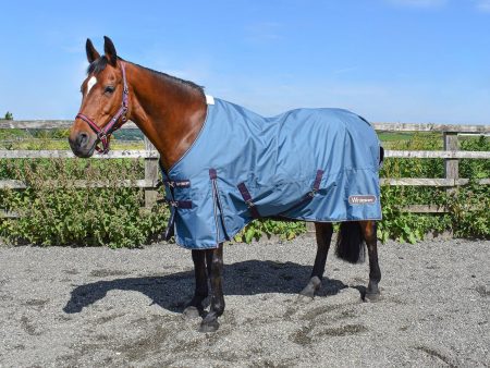 Whitaker Lupin Turnout Rug 100Gm Teal For Cheap