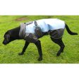 Henry Wag Waterproof Dog Coat For Discount