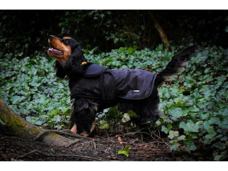 Whitaker Dog Coat Sydney Black Camo For Cheap