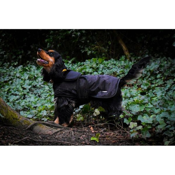 Whitaker Dog Coat Sydney Black Camo For Cheap