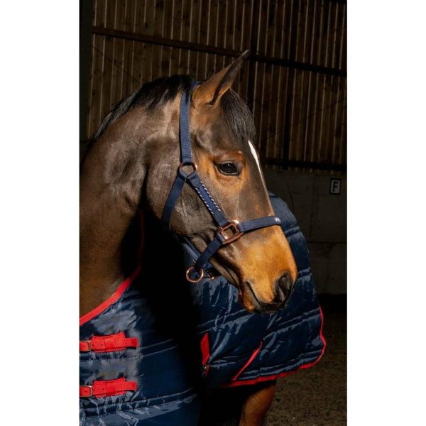 Whitaker Headcollar Bradshaw For Discount