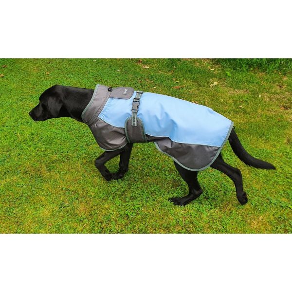 Henry Wag Waterproof Dog Coat For Discount