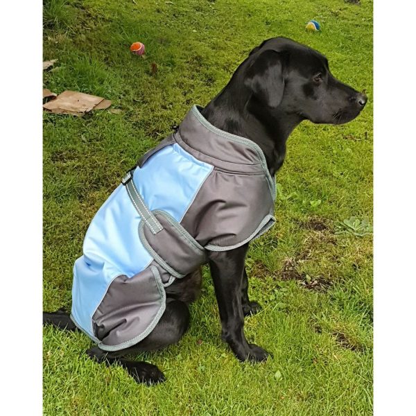 Henry Wag Waterproof Dog Coat For Discount