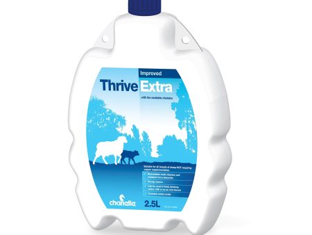 Chanelle Thrive Extra - 2.5 Lt Online